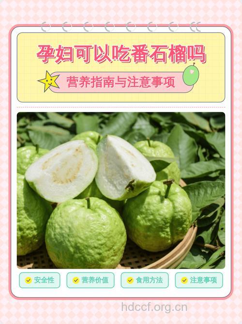 怀孕后孕妇能吃番石榴吗
