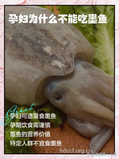 孕妇可以吃墨鱼吗