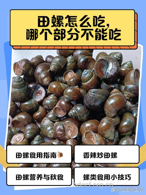 孕妇可以吃田螺吗