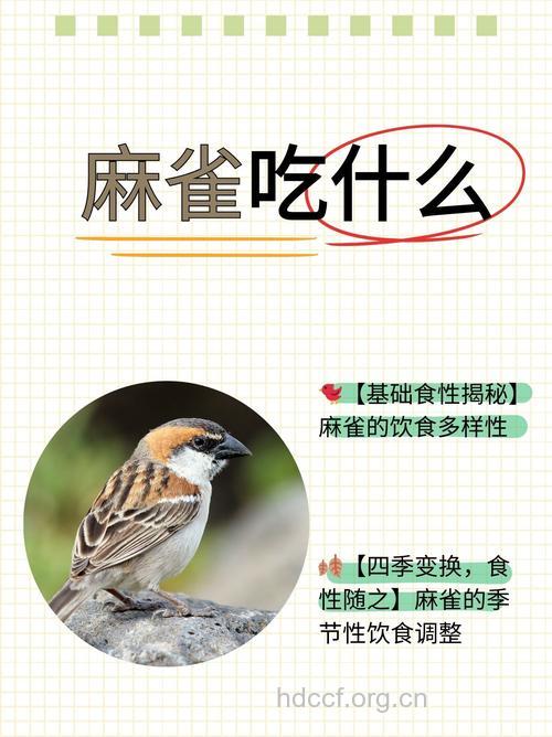 孕妇可以吃麻雀吗