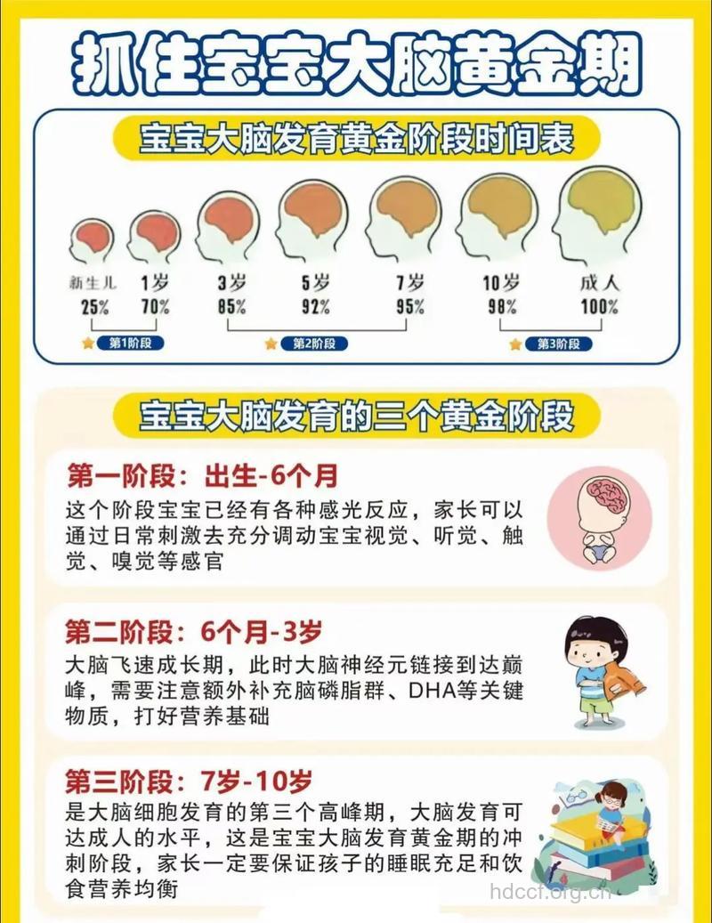 胎儿大脑活跃时期早教 能促进宝宝智力发育