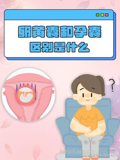 孕囊和卵黄囊的区别