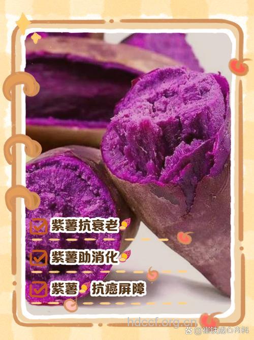 孕妇可以吃紫薯吗