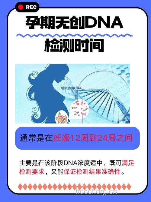 合肥能做无创DNA吗 无创DNA的优点