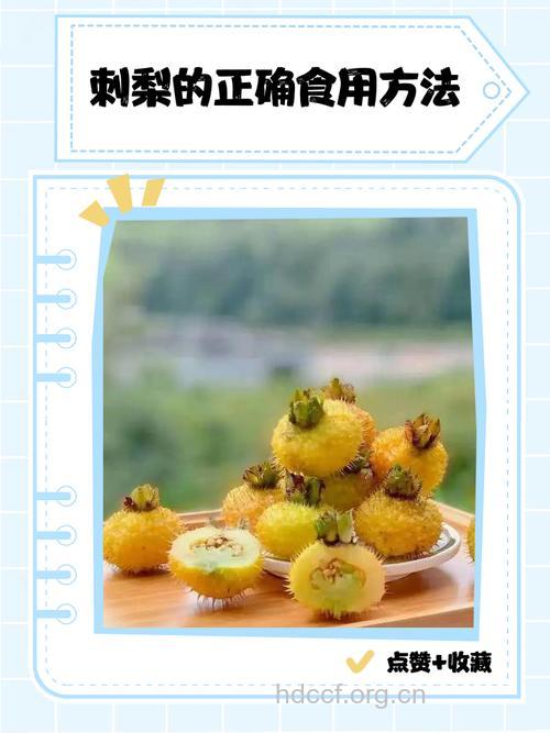 孕妇可以吃刺梨吗