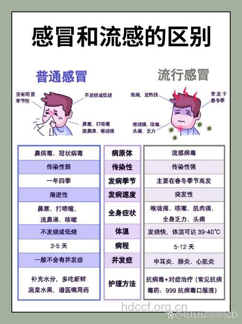 流感是感冒吗