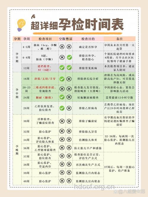 关注胎儿成长 产检项目及时间表总览