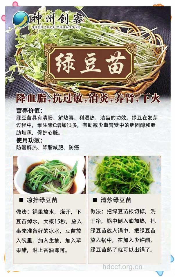 孕妇可以吃豆苗吗