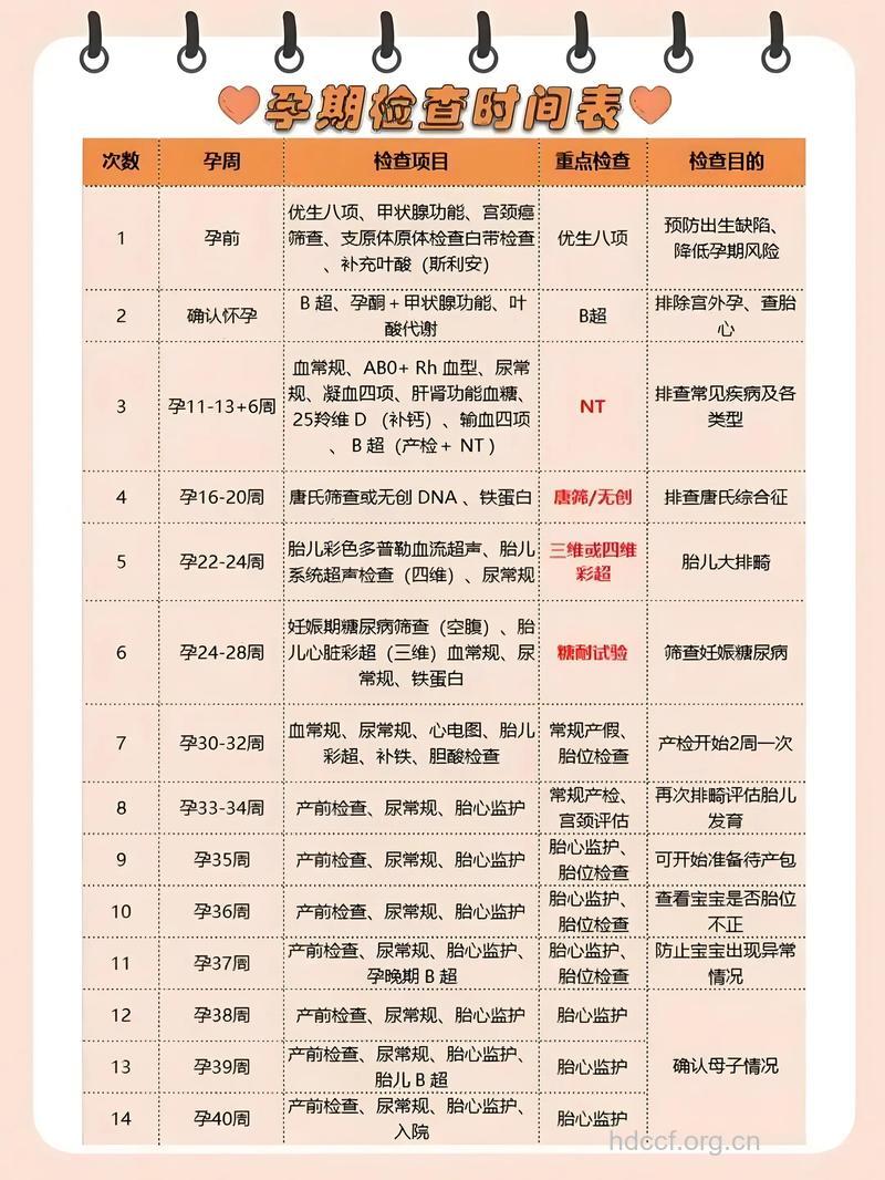 什么时候是孕期检查的最佳时间