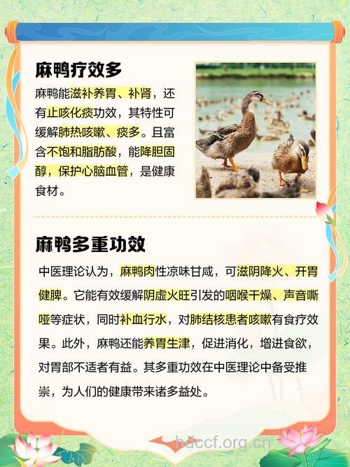 孕妇可以吃鸭肉吗