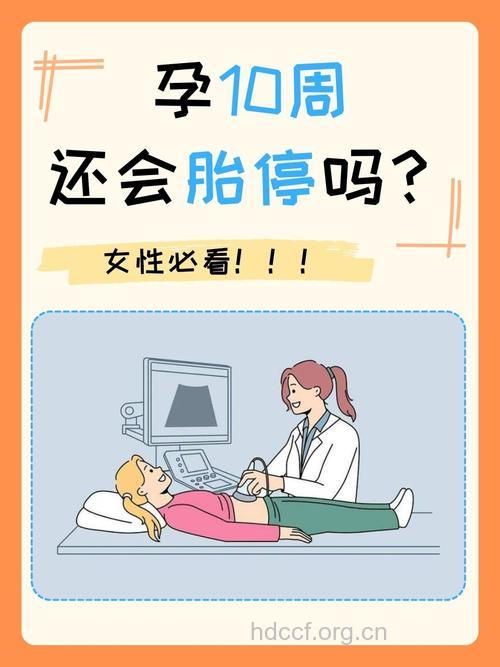 有胎心后还会胎停吗？