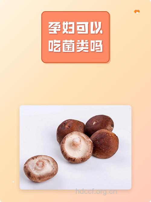 孕妇可以吃蘑菇吗