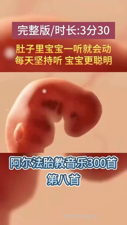 怀孕一个月的胎教音乐