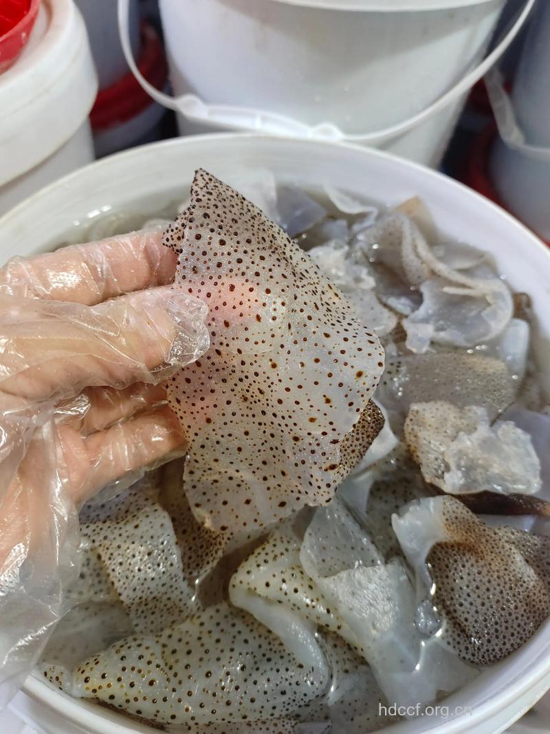 孕妇可以吃海蜇皮吗