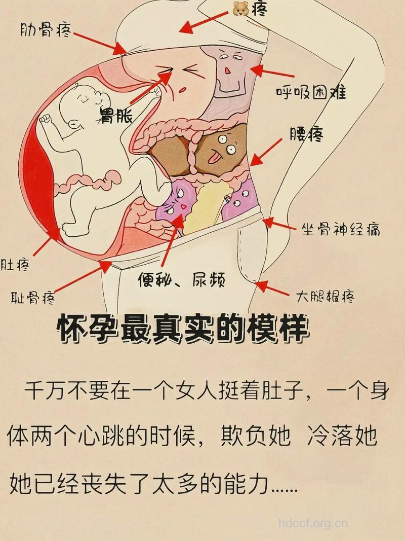 胎儿在妈妈肚子里会做6件事