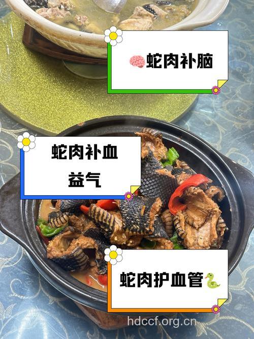孕妇可以吃蛇肉吗