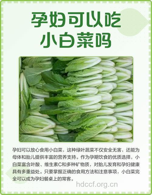 孕妇可以吃小白菜吗