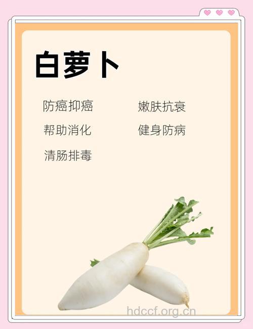 孕妇可以吃白萝卜吗