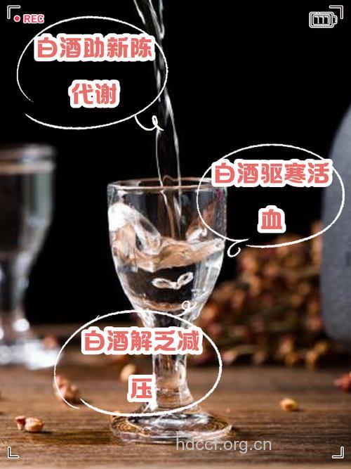孕妇可以喝白酒吗