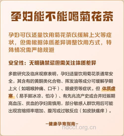 孕妇喝菊花茶好不好?