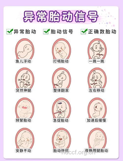 胎儿的胎动有哪些方式