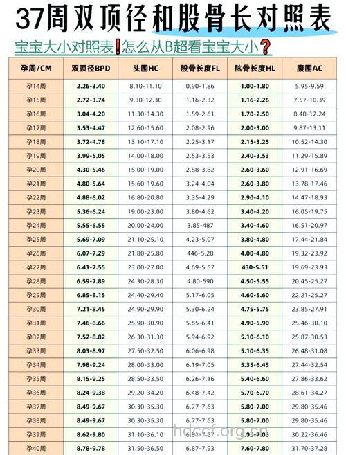 胎儿体重标准和注意事项？