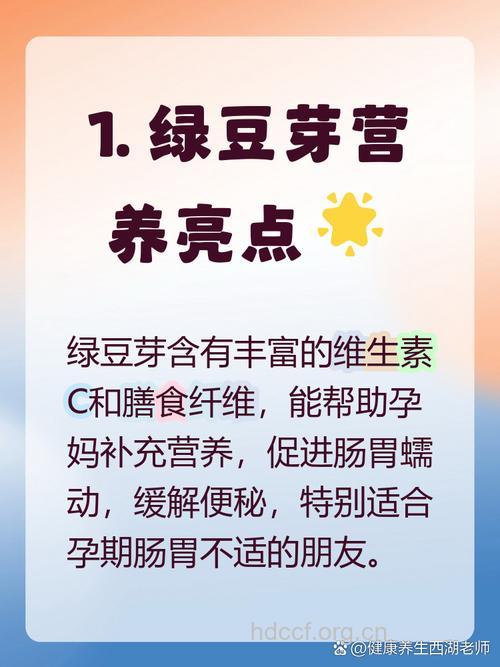 孕妇可以吃绿豆芽吗