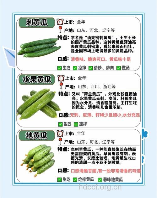 孕妇可以吃黄瓜吗