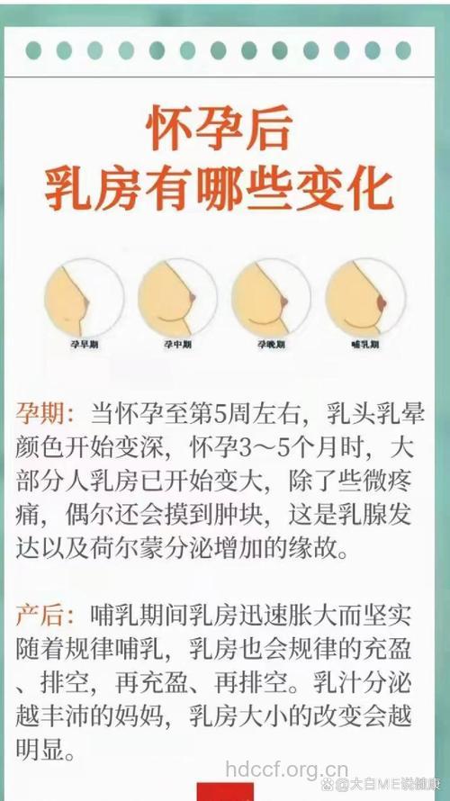 女性怀孕后乳房有哪些变化？