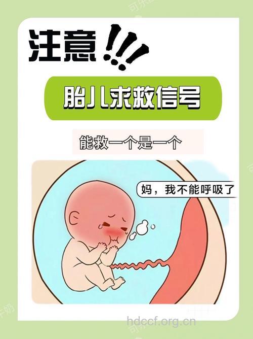 预示胎儿有危险的10个信号