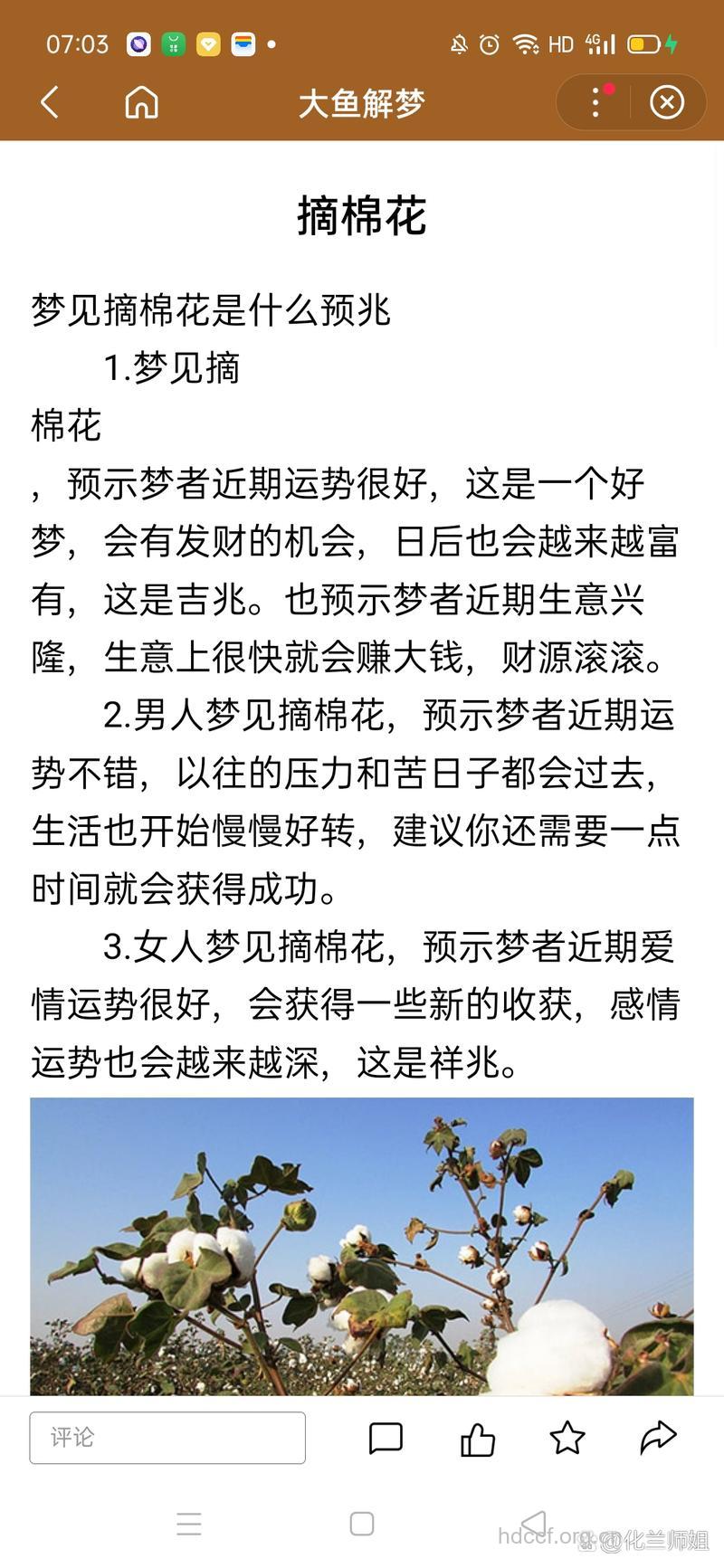 孕妇梦见摘棉花意味着什么