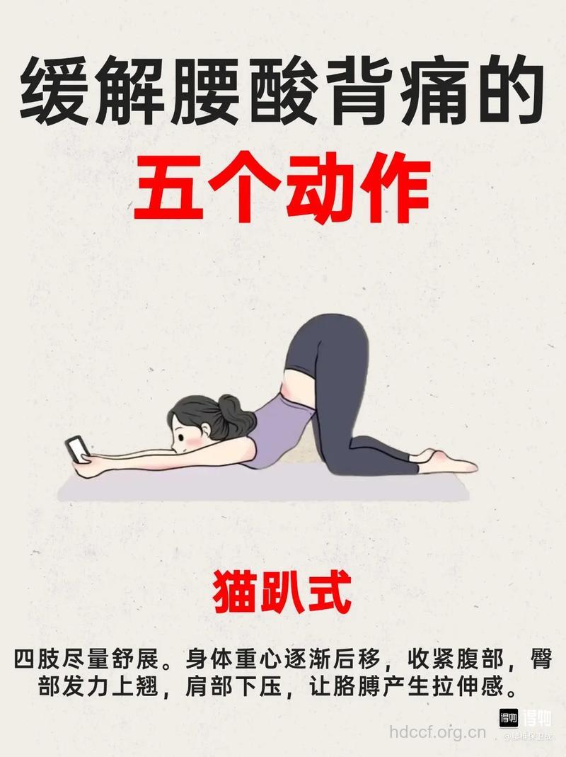 准妈妈居家自我缓解腰痛的技巧