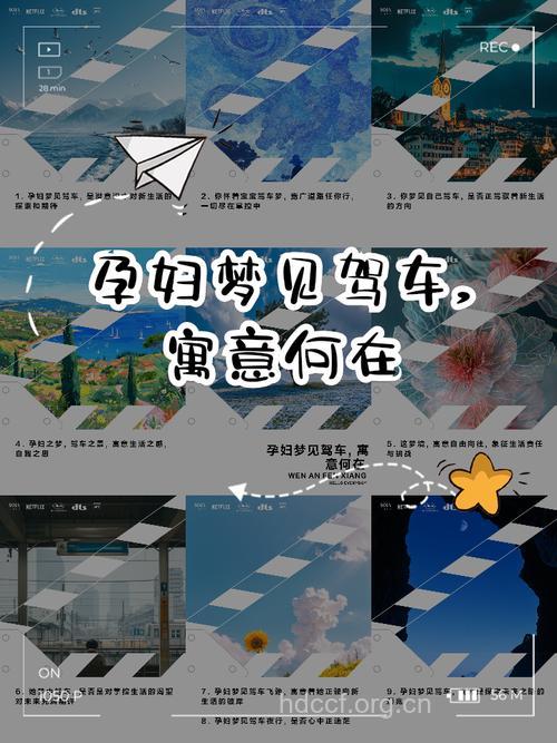 孕妇梦见开车意味着什么