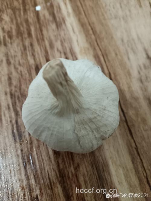 孕妇梦见大蒜意味着什么