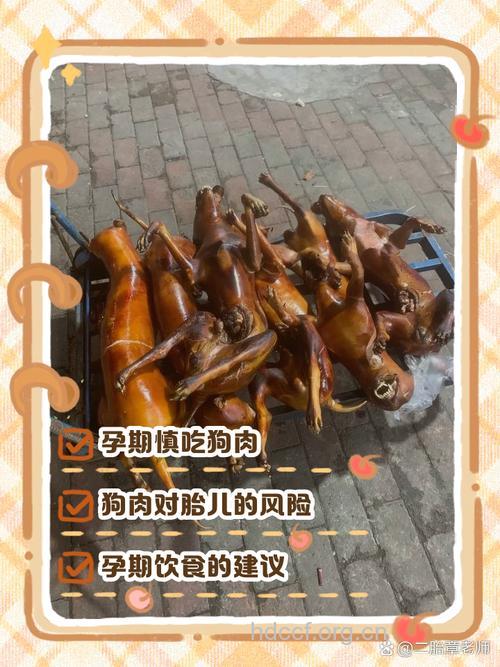 孕妇吃狗肉会导致流产吗