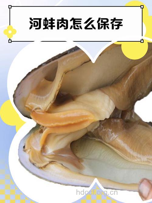 孕妇能吃蚌肉吗