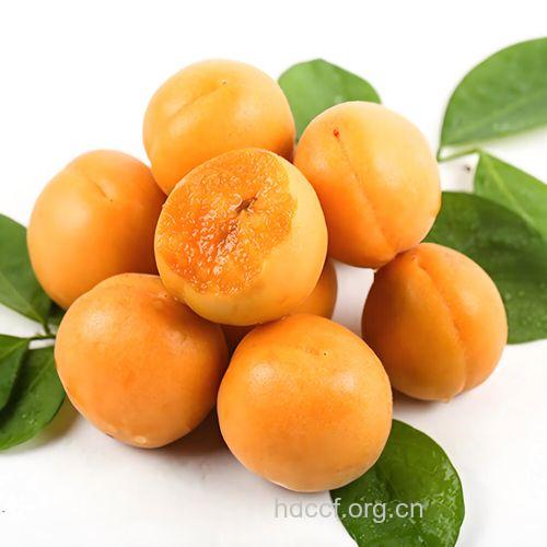 孕妇梦见杏子意味着什么