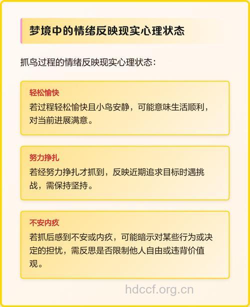 孕妇梦见抓鸟意味着什么