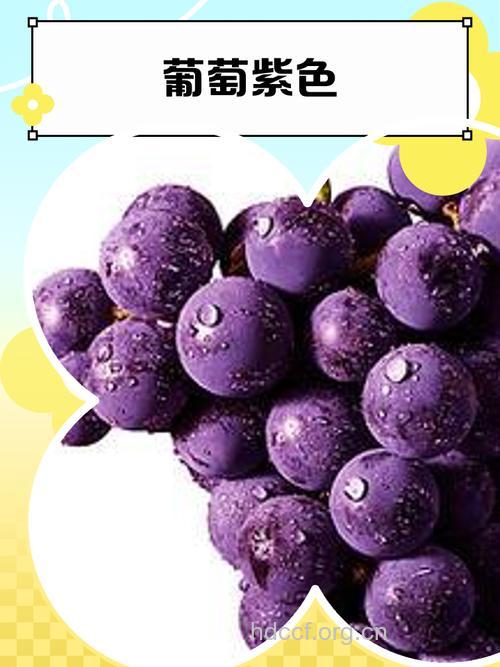 孕妇梦见紫葡萄意味着什么