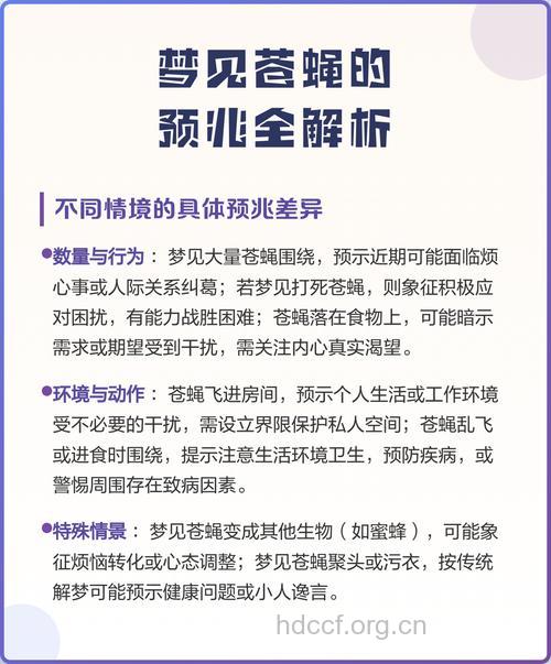 孕妇梦见苍蝇意味着什么