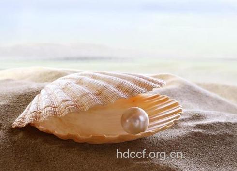 孕妇梦见贝壳意味着什么