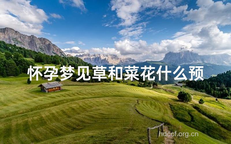 孕妇梦见草意味着什么