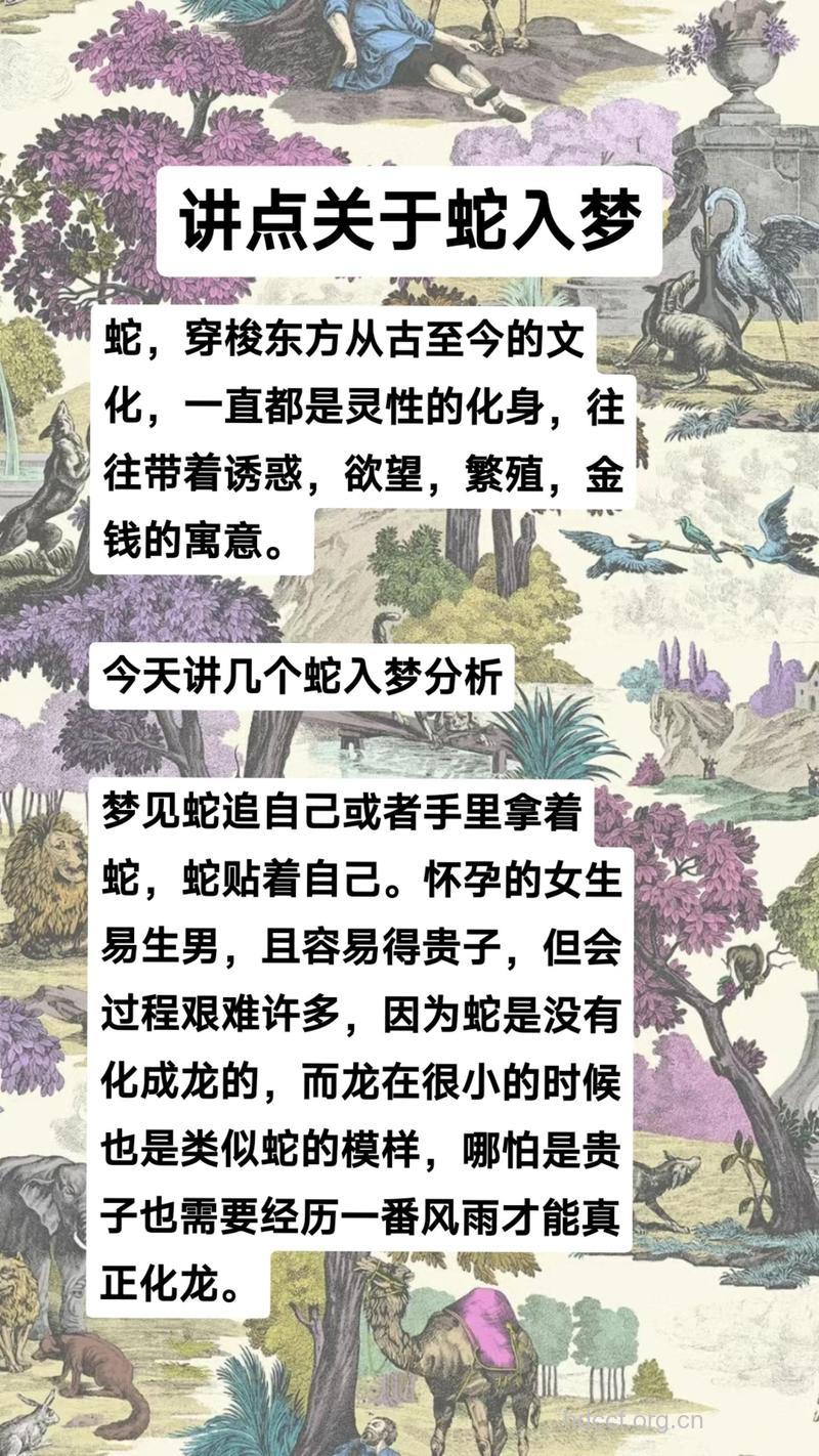 孕妇梦见大白蛇意味着什么