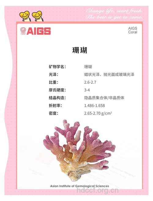 周公解梦 孕妇梦见珊瑚的寓意