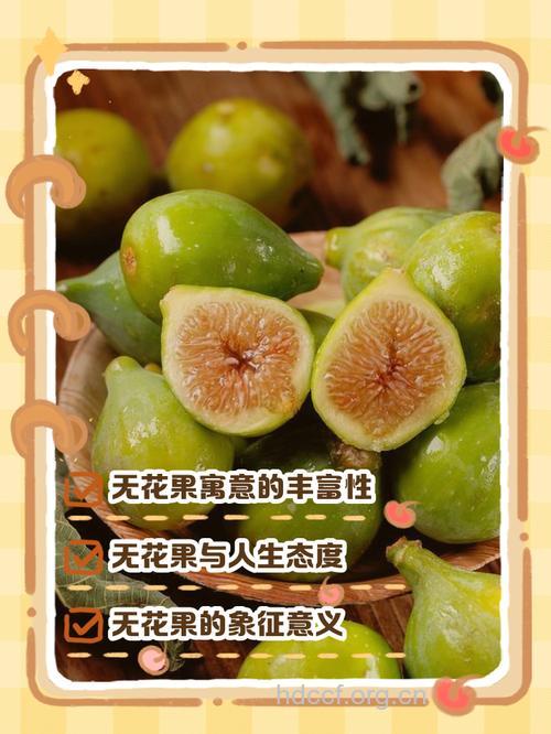 周公解梦 孕妇梦见无花果的寓意