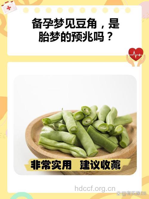 周公解梦 孕妇梦见豆芽的寓意