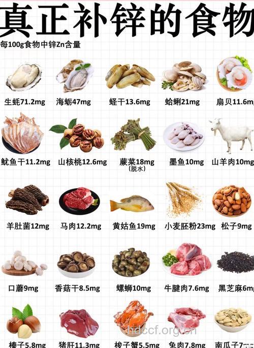 补锌的食物有哪些