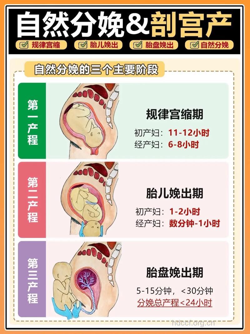 熟悉自然分娩的三大产程