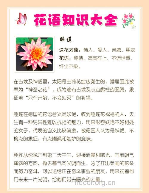 周公解梦 孕妇梦见植物的寓意