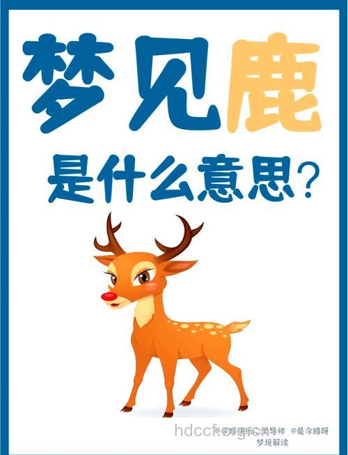 周公解梦 孕妇梦见鹿的寓意